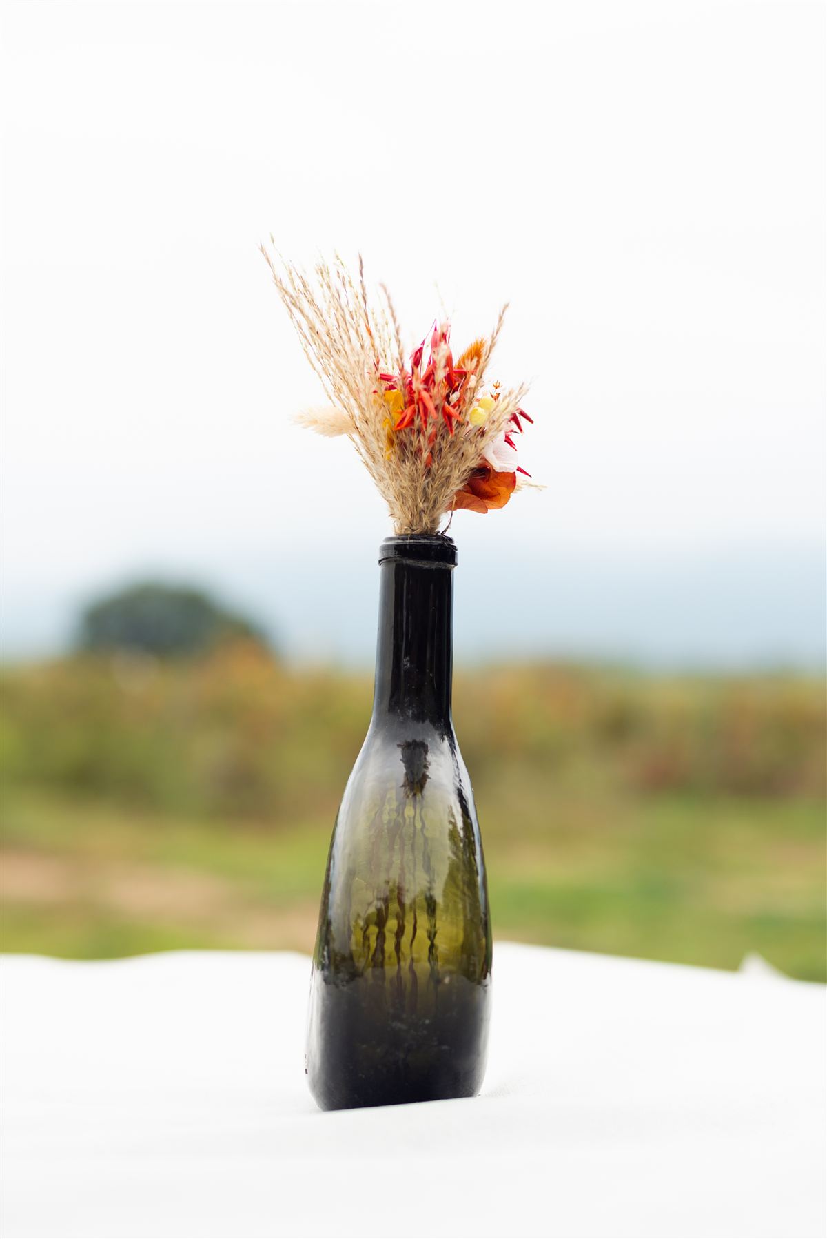 Bouteille ancienne en guise de vase avec bouquet de fleurs séchées — Domaine Bisconte, Saint-Génis-des-Fontaines